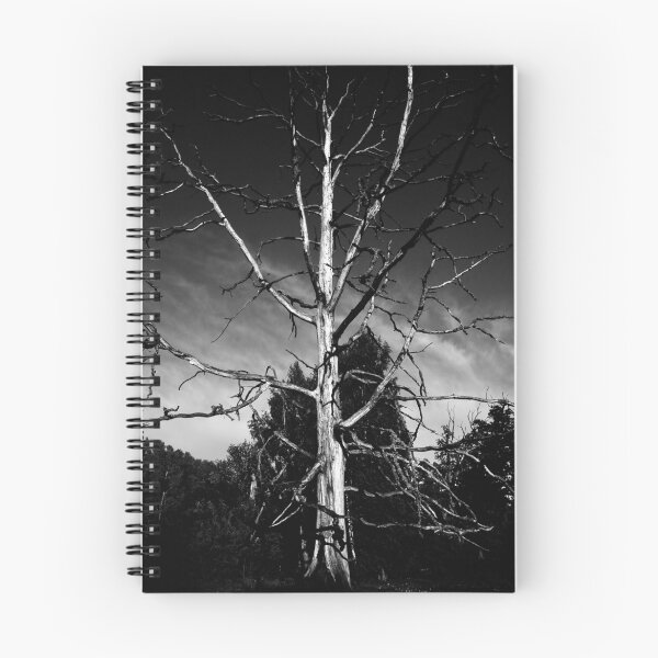 Item preview, Still Reaching for the Sky designed and sold by Gustav Nordlund.