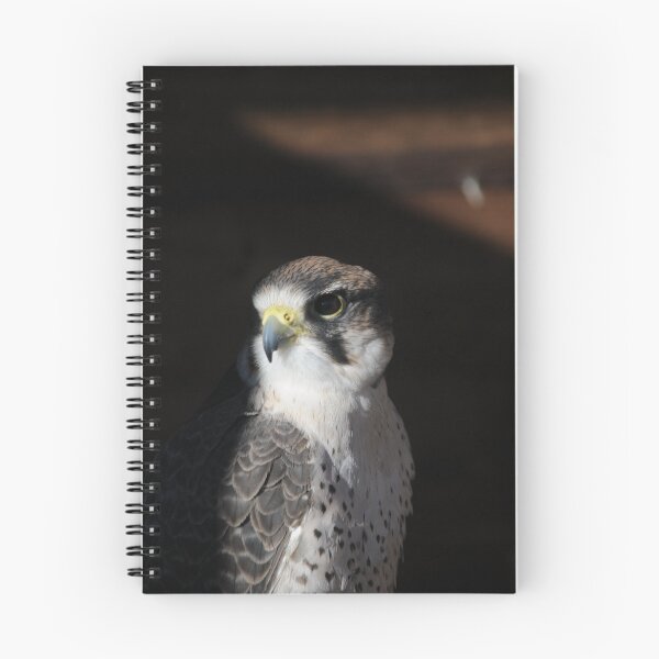 Item preview, Lanner Falcon 'Bud' designed and sold by Simone Kelly.