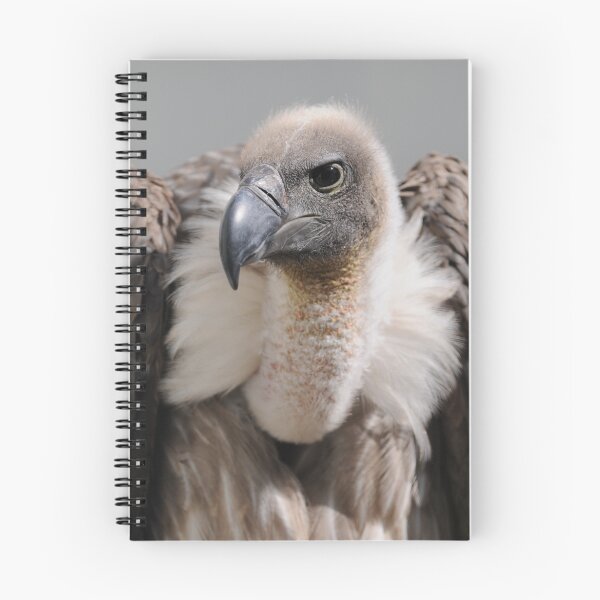 Item preview, White-backed vulture 'Dyson' designed and sold by Simone Kelly.