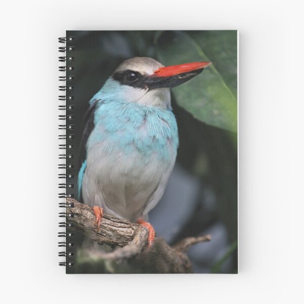 Item preview, Kingfisher designed and sold by Virginia Cherry.