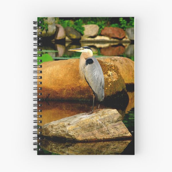 Item preview, Bird on a rock in a pond. designed and sold by Brent McMurry.