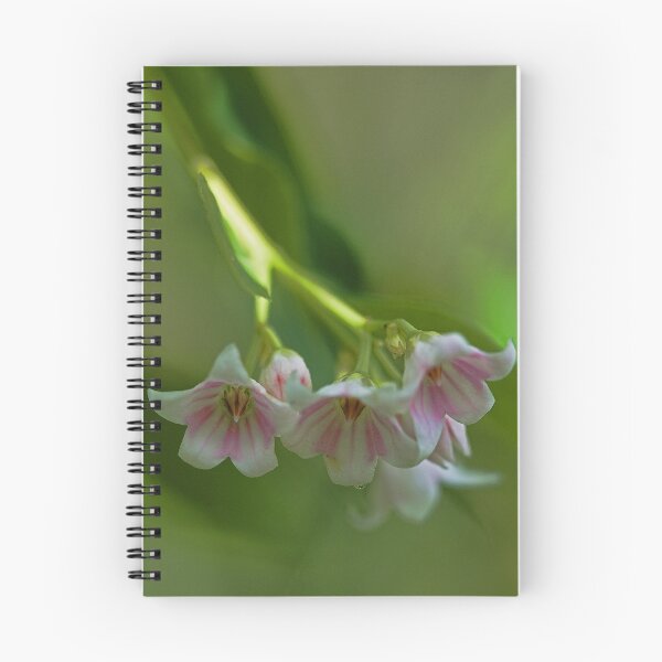 Item preview, Beautiful Spreading Dogbane designed and sold by T.J. Martin.