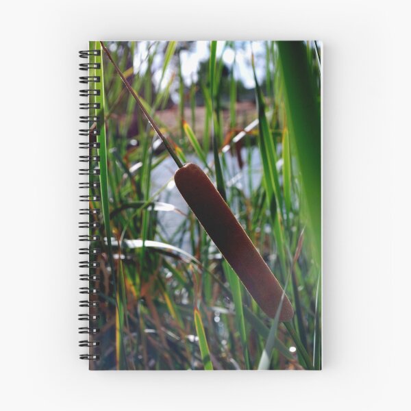 Item preview, Bullrush designed and sold by Lorraine McCarthy.
