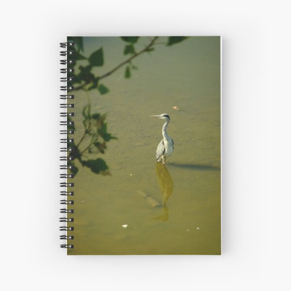 Did you hear that? Spiral Notebook