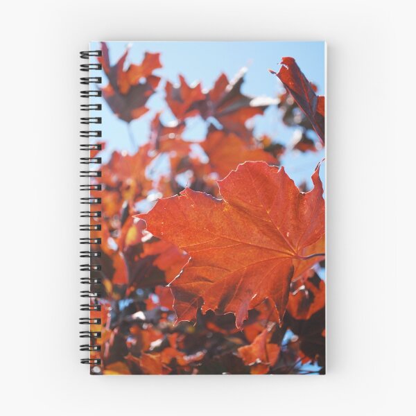 Item preview, Fall Comes - Lavender Fest '09 designed and sold by SparrowPhoto.