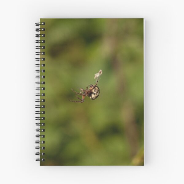 Item preview, Garden Spider spinning a web designed and sold by Jon Lees.