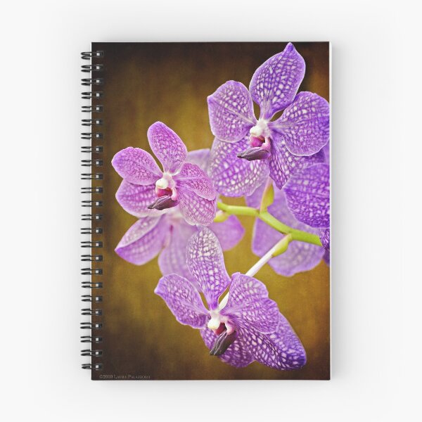 Item preview, Vanda Sansai Blue Orchid designed and sold by Laura Palazzolo.