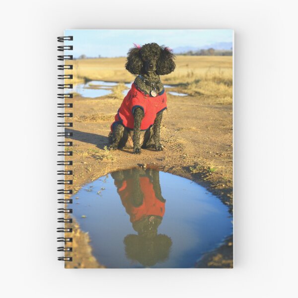 Item preview, Little Miss Priss. designed and sold by Petehamilton.