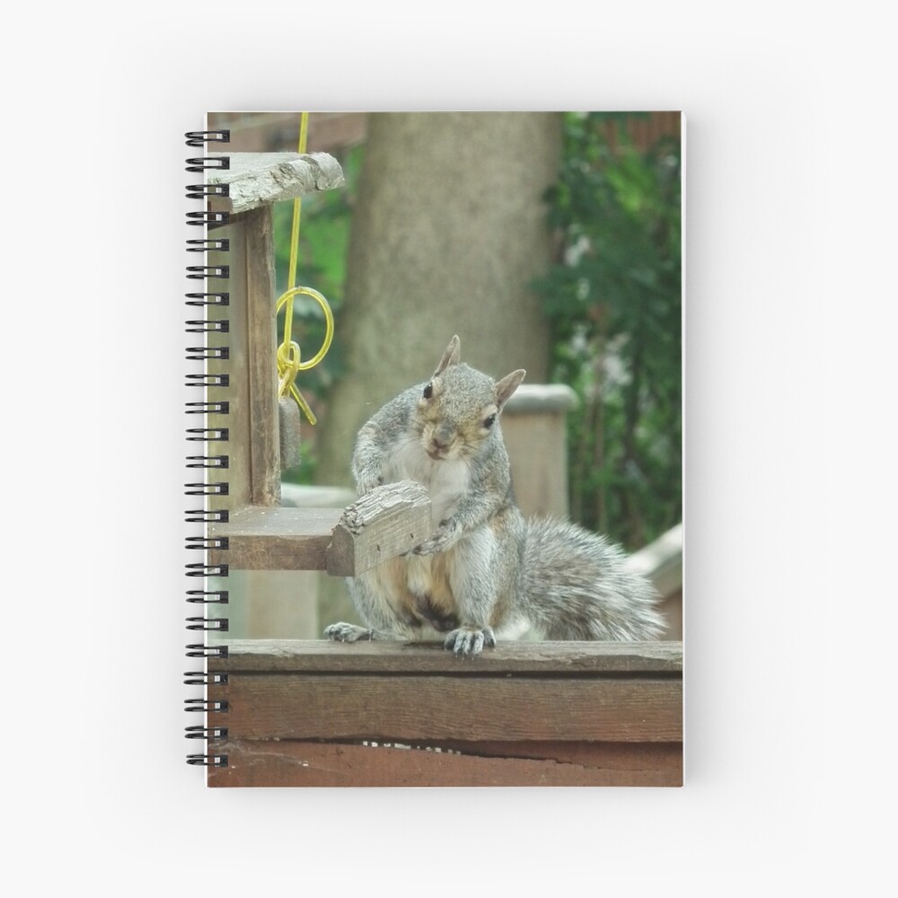 Squirrel 4 - please sir can I have some more? Spiral Notebook