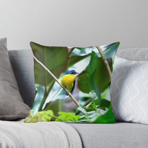 Item preview, Yellow-Throated Euphonia designed and sold by AudreyMolenda.