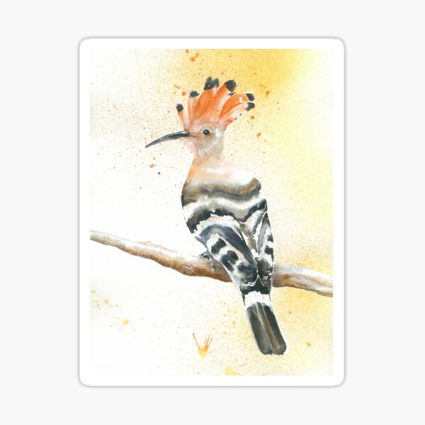 Hoopoe Sticker