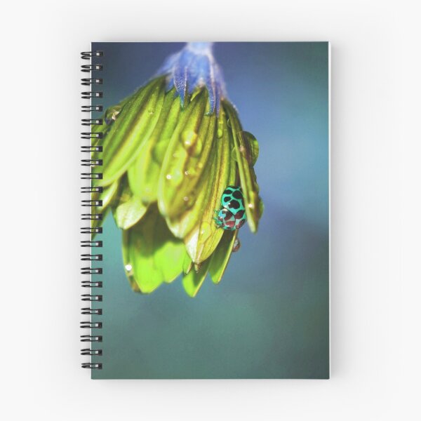 Item preview, Leaky Roof designed and sold by Bronwyn Bruce.