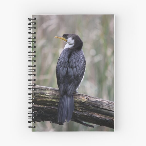 Item preview, Little Pied Cormorant designed and sold by Gary  Davey.
