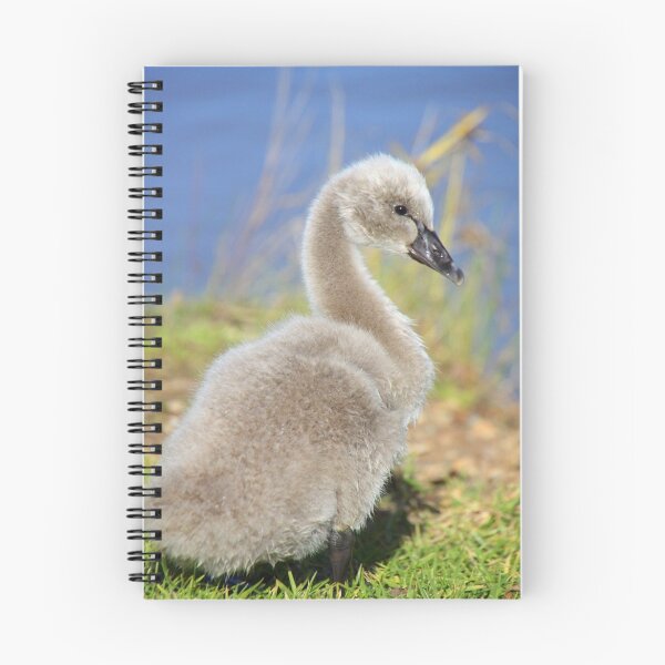 Item preview, Cygnet designed and sold by Natalie Ord.