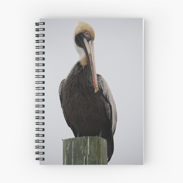 Item preview, Pelican # 5 Regal designed and sold by Paulette1021.
