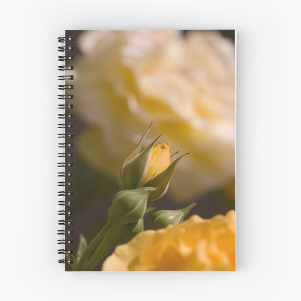 Item preview, Growing old designed and sold by Harv Churchill.