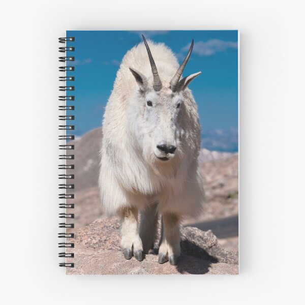 Item preview, Mama Goat designed and sold by Gary Lengyel.