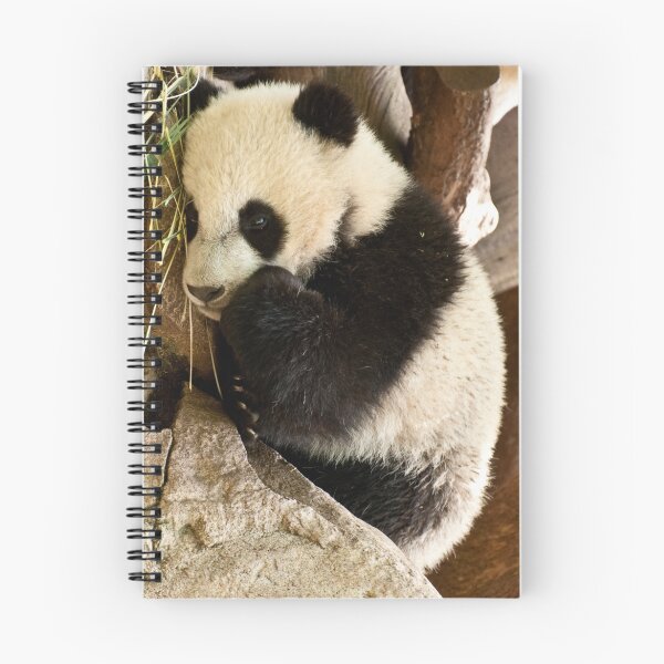 Item preview, Yun Zi designed and sold by Wanda Staples.