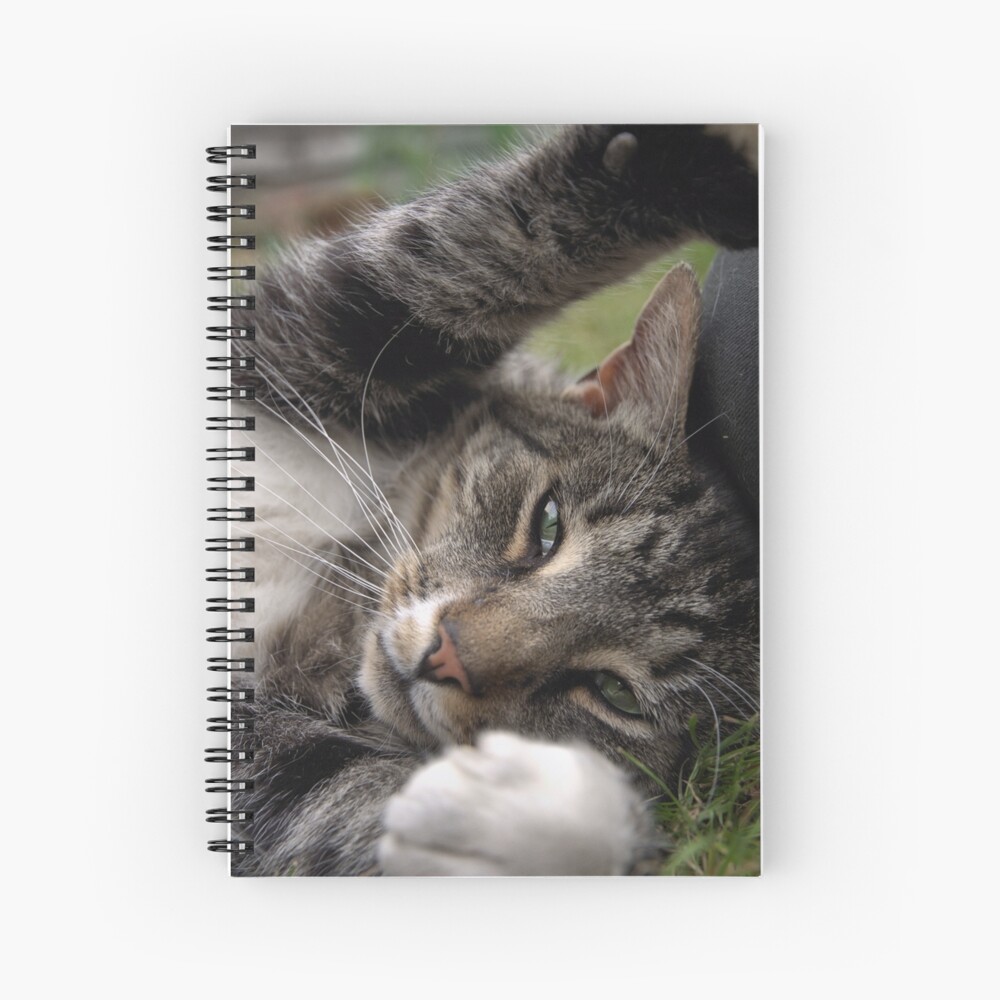 Item preview, Spiral Notebook designed and sold by pauleden.