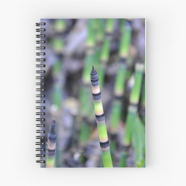 Item preview, horsetail plant designed and sold by stampmouse.