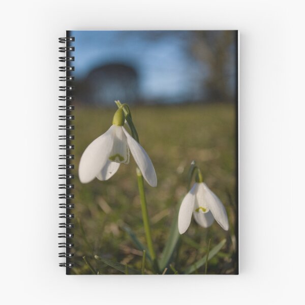 Item preview, A little sprintime flower called the Snowdrop designed and sold by jessacs.