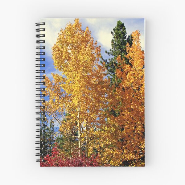 Item preview, "Autumn Colors" designed and sold by Lynn Bawden.