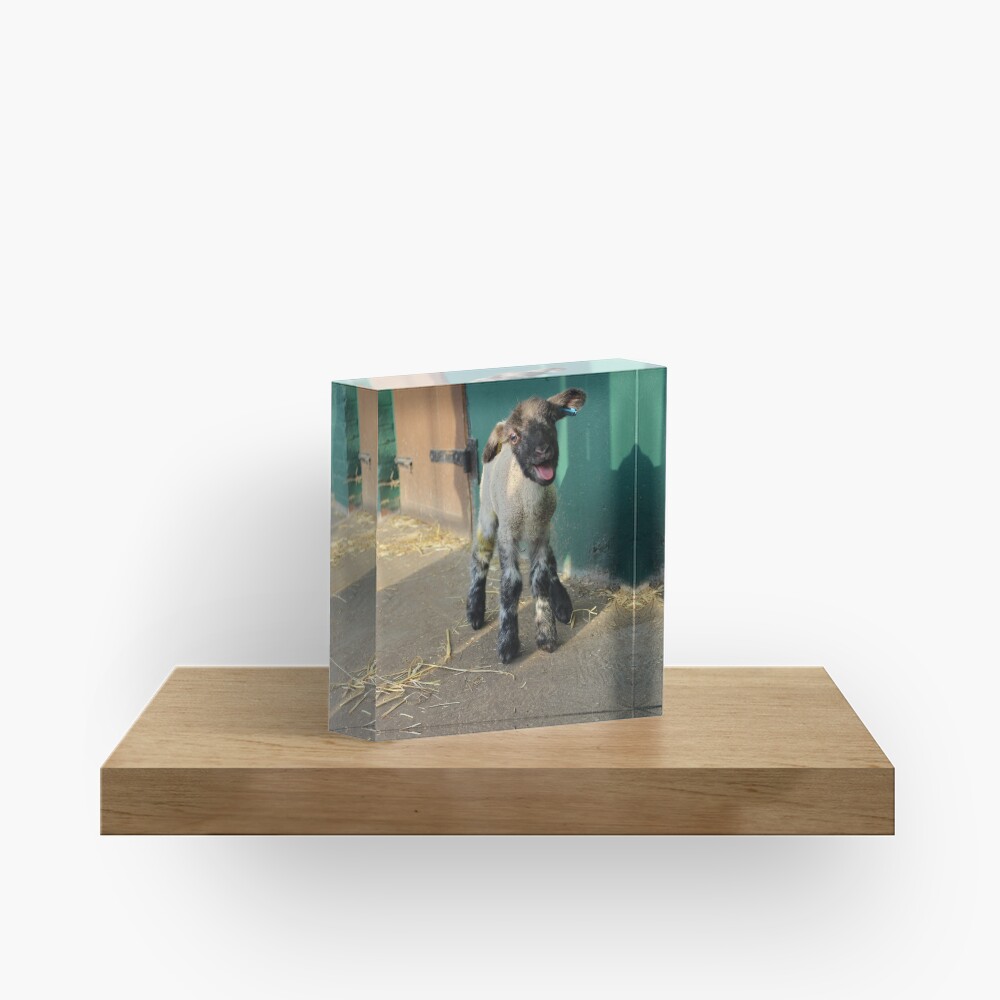 Item preview, Acrylic Block designed and sold by VauxhallFarm.