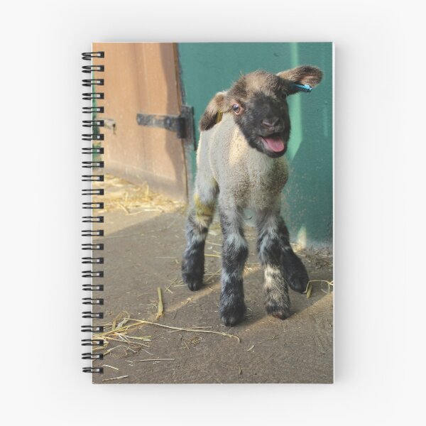 Item preview, Vauxhall City Farm - Lamb (Socks, Tongue) designed and sold by VauxhallFarm.