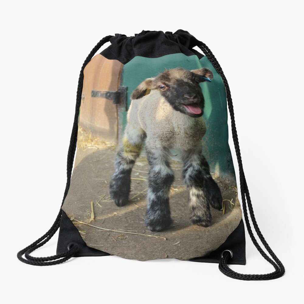 Item preview, Drawstring Bag designed and sold by VauxhallFarm.