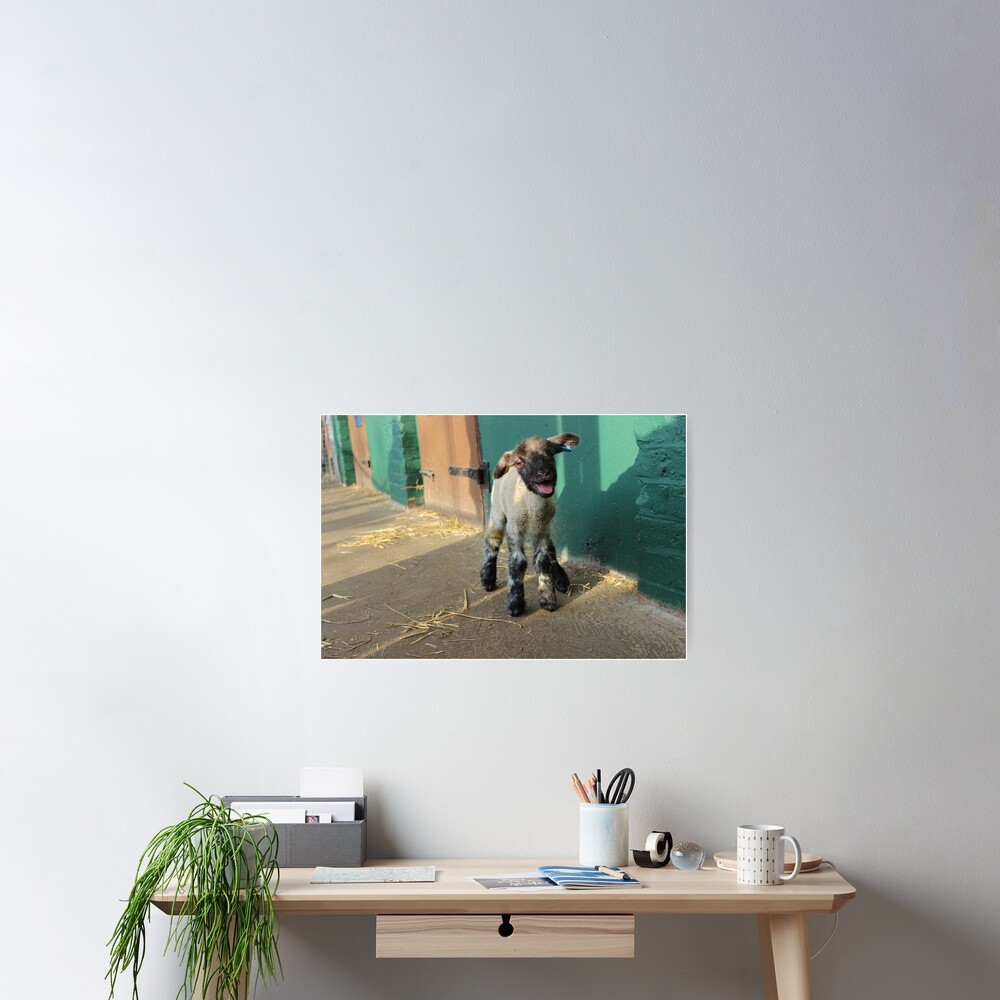 Item preview, Poster designed and sold by VauxhallFarm.