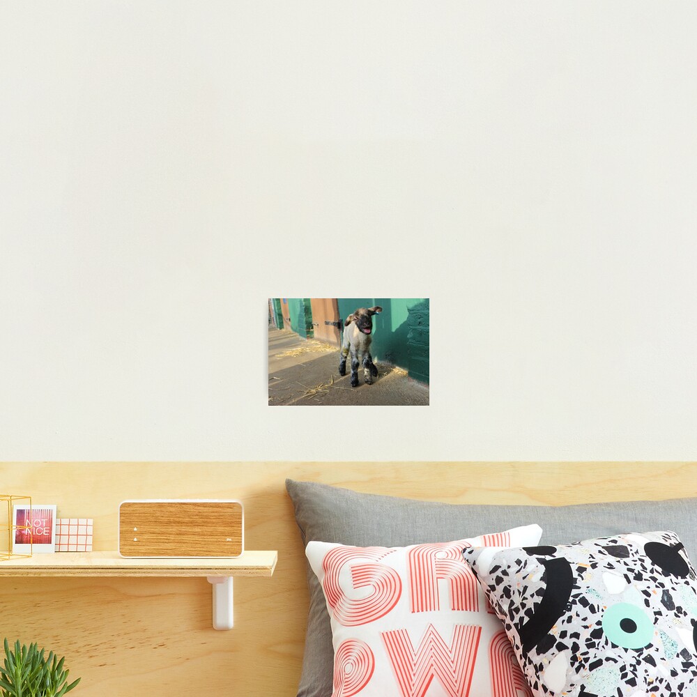 Item preview, Photographic Print designed and sold by VauxhallFarm.