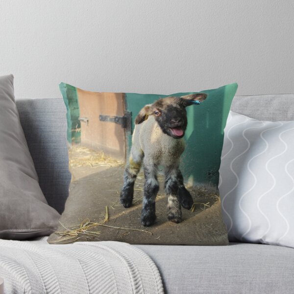 Item preview, Vauxhall City Farm - Lamb (Socks, Tongue) designed and sold by VauxhallFarm.