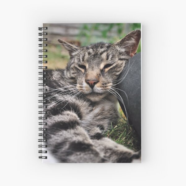 I Kneed a Pillow Spiral Notebook