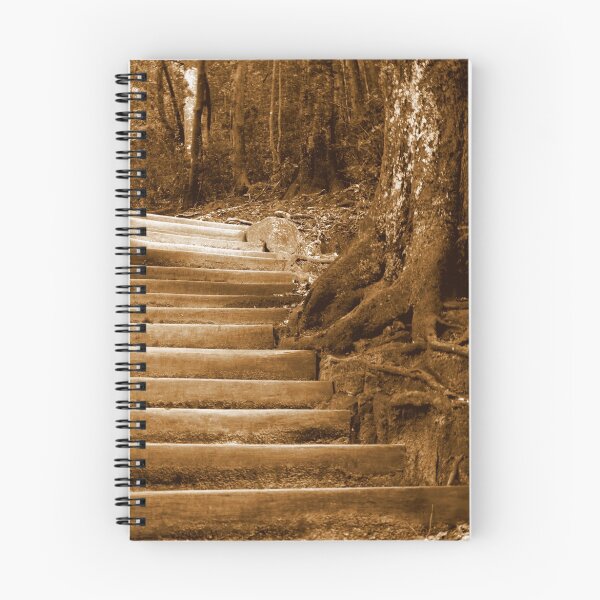 Item preview, The Devils Staircase designed and sold by kiwiguy.