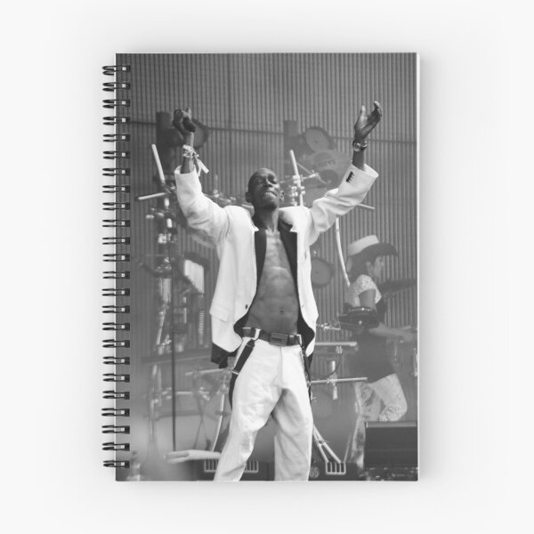 Artikelvorschau,  Sänger für Faithless, der dieses Jahr in Glastonbury auftritt und die Bewunderung der Menge genießt. entworfen und verkauft von Steve Briscoe.