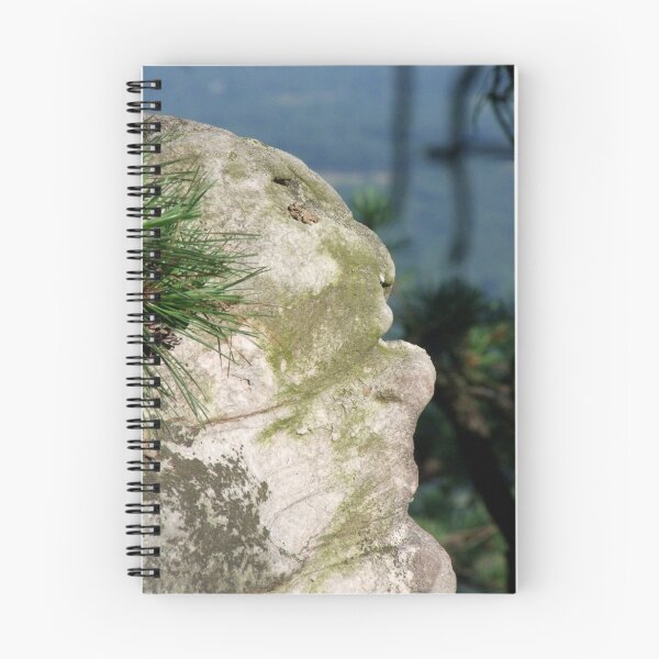 Item preview, Old Man in the Mountain - NC designed and sold by Lolabud.
