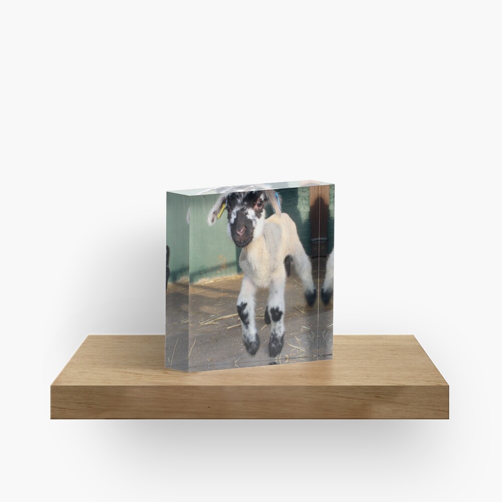 Item preview, Acrylic Block designed and sold by VauxhallFarm.