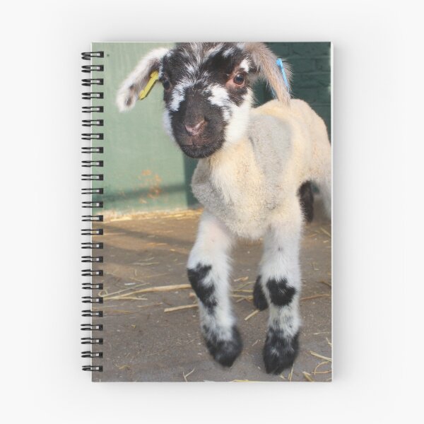 Item preview, Vauxhall City Farm - Lamb (Splotch) designed and sold by VauxhallFarm.