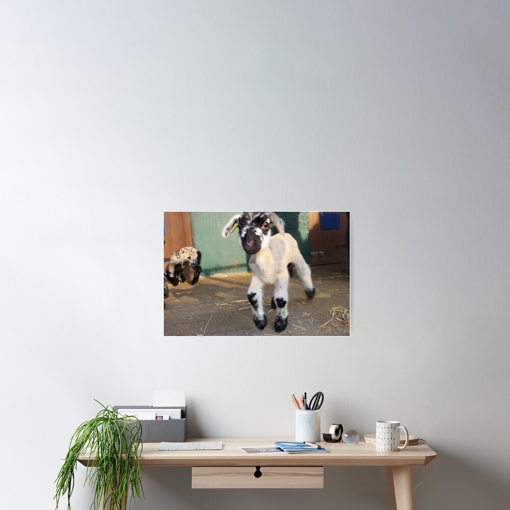 Item preview, Poster designed and sold by VauxhallFarm.