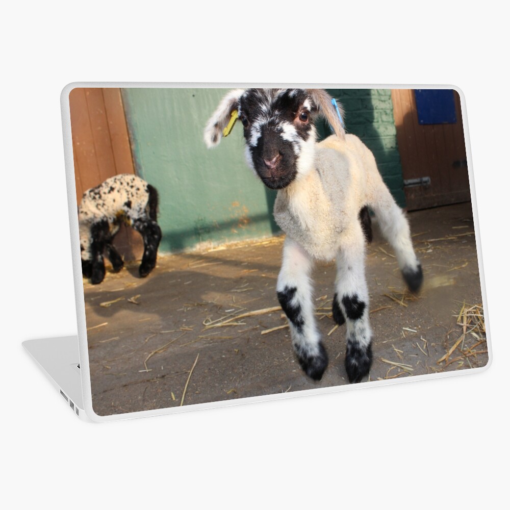 Item preview, Laptop Skin designed and sold by VauxhallFarm.