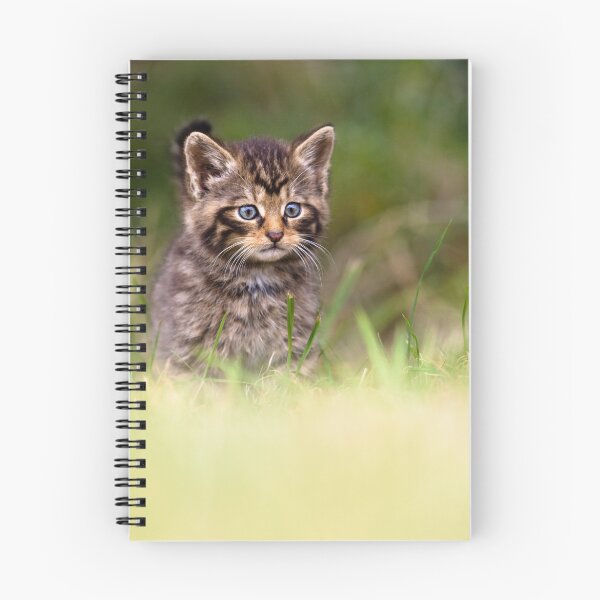 Item preview, Born to be Wild designed and sold by Peter Denness.