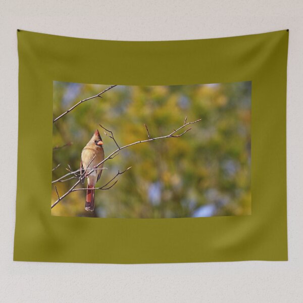 Item preview, Cardinal In Morning Light designed and sold by Deb Oppermann.