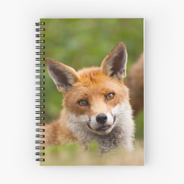 Item preview, Butter Wouldn't Melt..... designed and sold by Peter Denness.