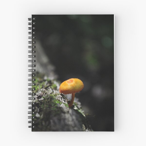 Item preview, I am... a mushroom, On whom the dew of heaven drops now and then.  designed and sold by Brook Isham.