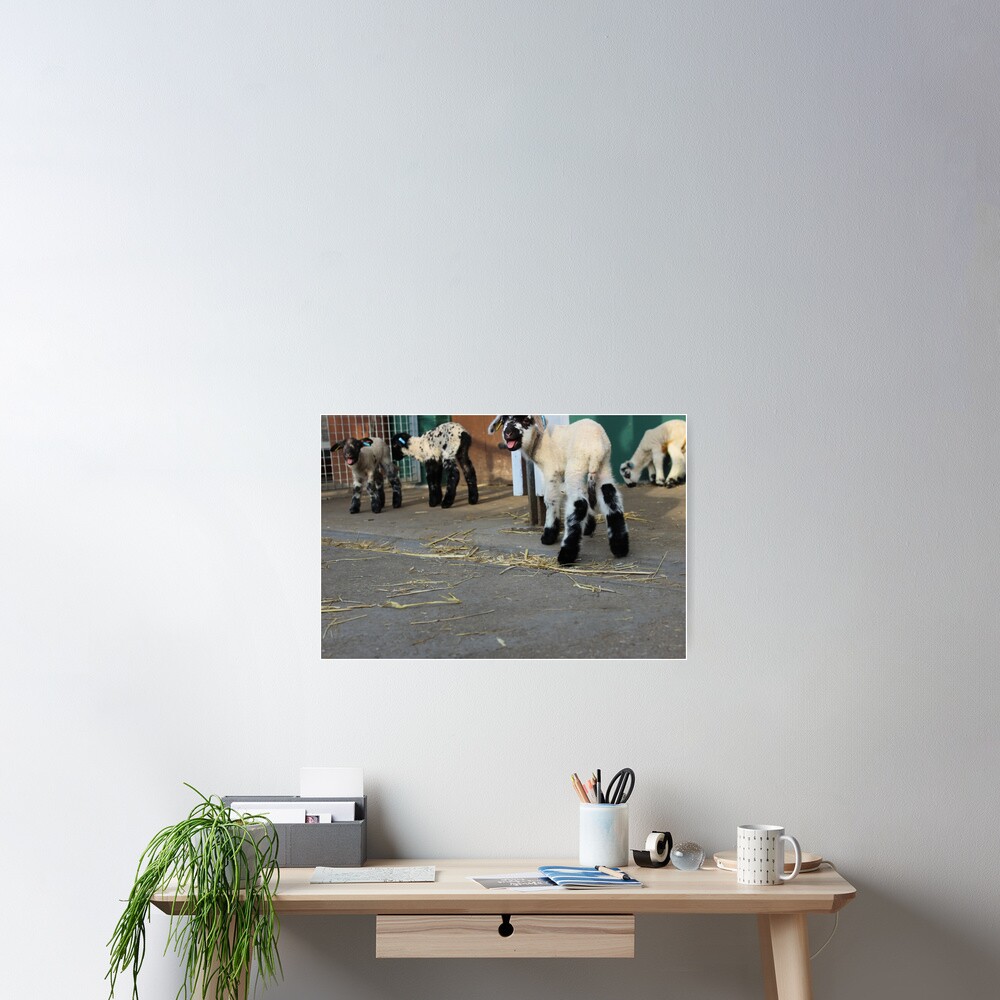 Item preview, Poster designed and sold by VauxhallFarm.