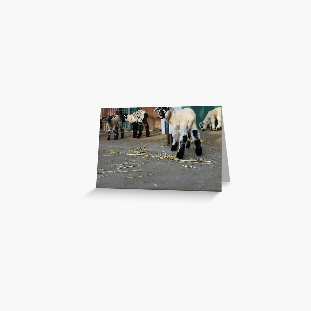 Item preview, Greeting Card designed and sold by VauxhallFarm.
