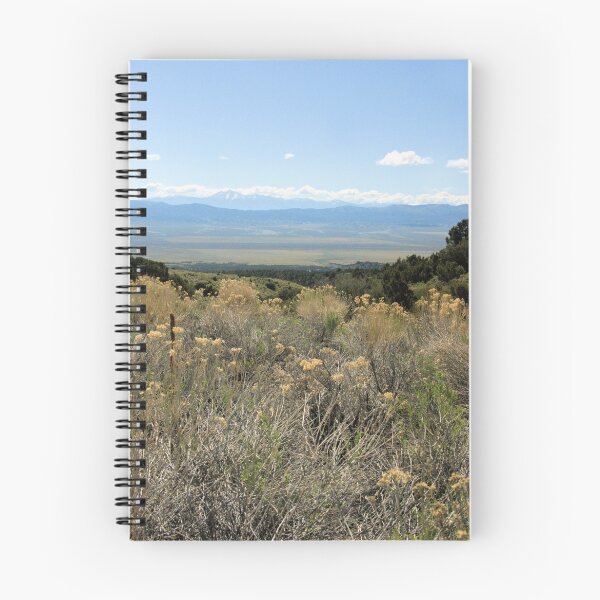 Aperçu de l'œuvre Nevada Vista créée et vendue par Tammy Drombolis.