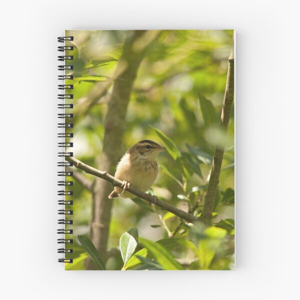 Item preview, Sedge Warbler designed and sold by Jon Lees.
