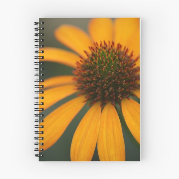 Item preview, Orange Coneflower designed and sold by crystalventerseye.