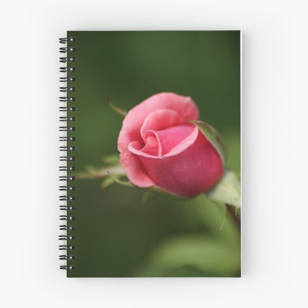 Item preview, Pink Rose Bud designed and sold by crystalventerseye.